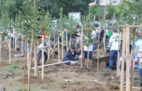 My Green City_2015_2(1).JPG